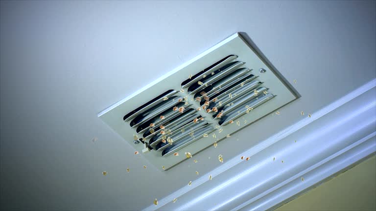 Best Air Duct Cleaning Near Me  in St Martins, MO
