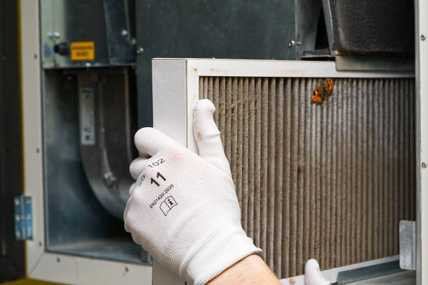 Best Commercial Air Duct Cleaning  in St Martins, MO