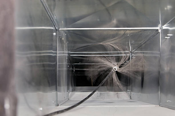 Air Duct Mold Removal in St Martins, MO